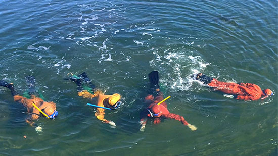 達(dá)蓮海參告訴你怎樣吃海參最有營(yíng)養(yǎng)